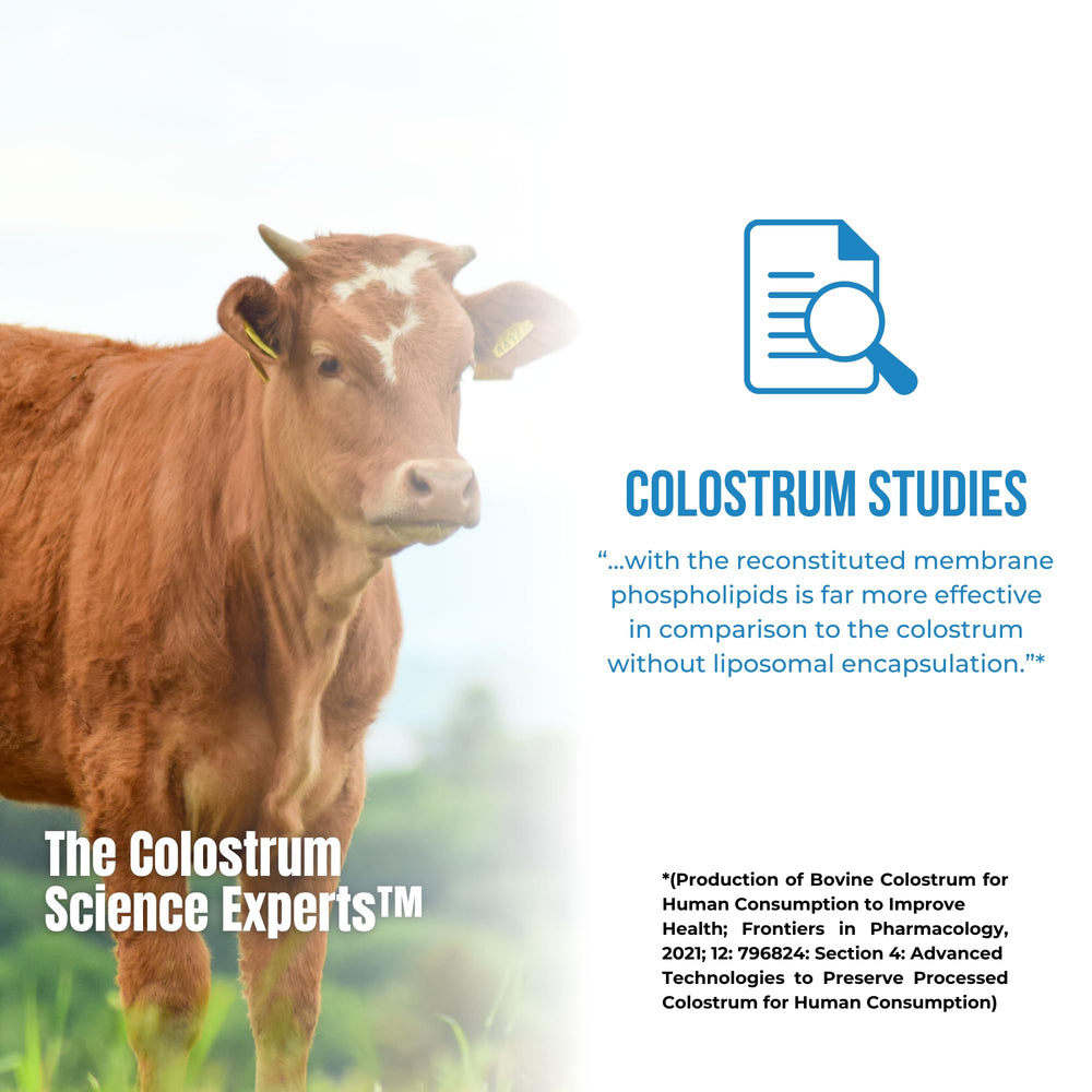Colostrum-LD safety features: pasteurized first milk and drying process