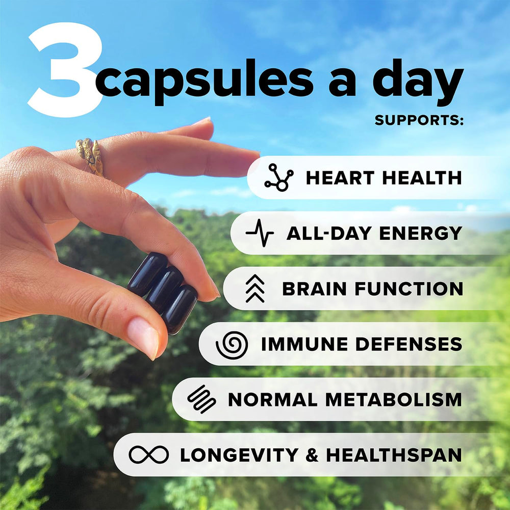 Complement Essential Vegan Multivitamin capsules close-up highlighting easy-to-swallow capsules