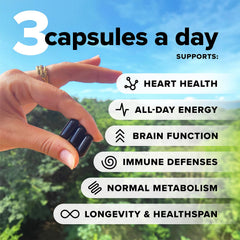 Complement Essential Vegan Multivitamin capsules close-up highlighting easy-to-swallow capsules