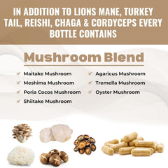 Complete Formulations packaging back showing ingredients and non-GMO promise