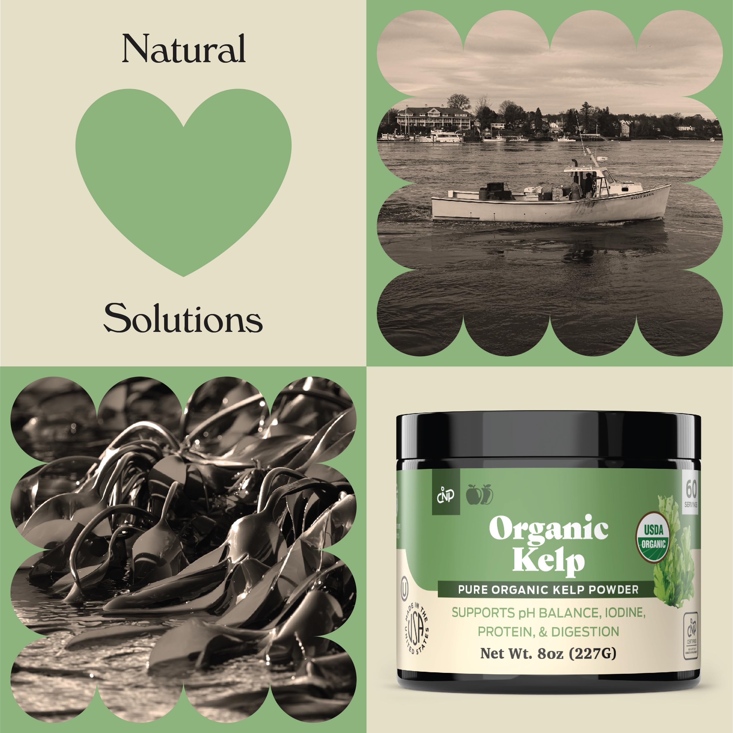 Complete Natural Organic Kelp Powder texture closeup – fine powder ideal for blending.