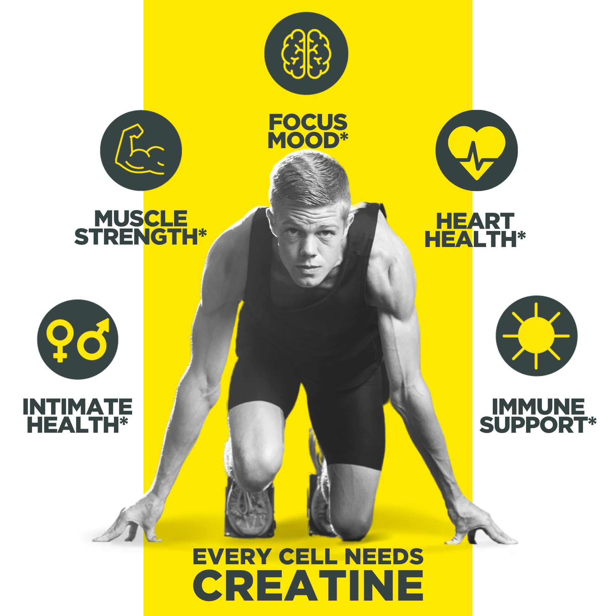 CON-CRET Creatine HCl USA made facility badge signals quality