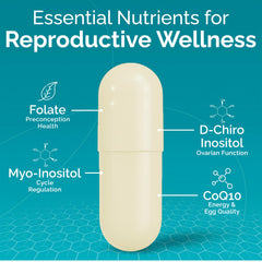 Conceive Plus ingredients panel shows ginger, folate, and CoQ10 for reproductive health.