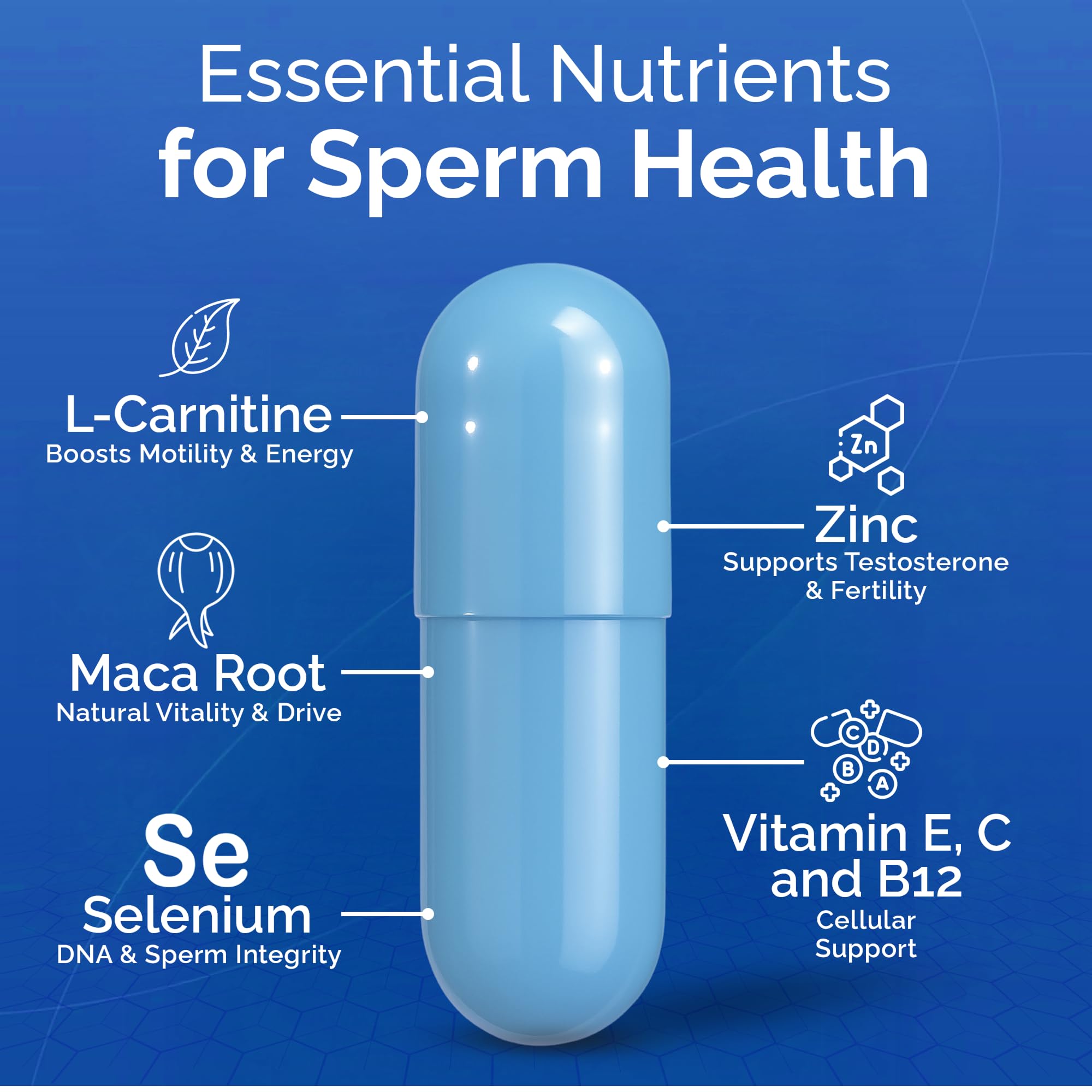 Label close-up highlighting L-Carnitine, Zinc, and Vitamin D in the formula.