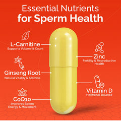 Conceive Plus Motility vitamins pack on a clean background for easy dosing