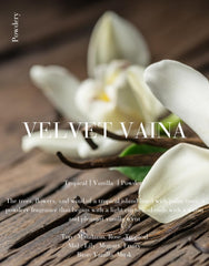 CONER Velvet VAINA diffuser with cartridge ready for use.