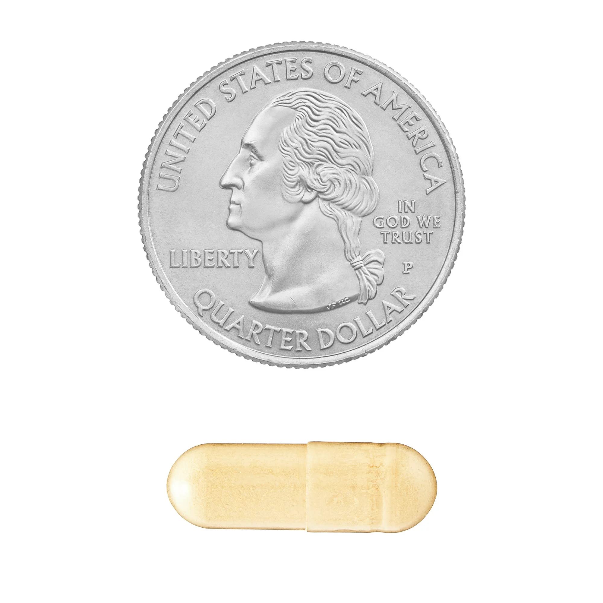Convergence Korean Panax Ginseng vegetarian capsules highlight plant based formula