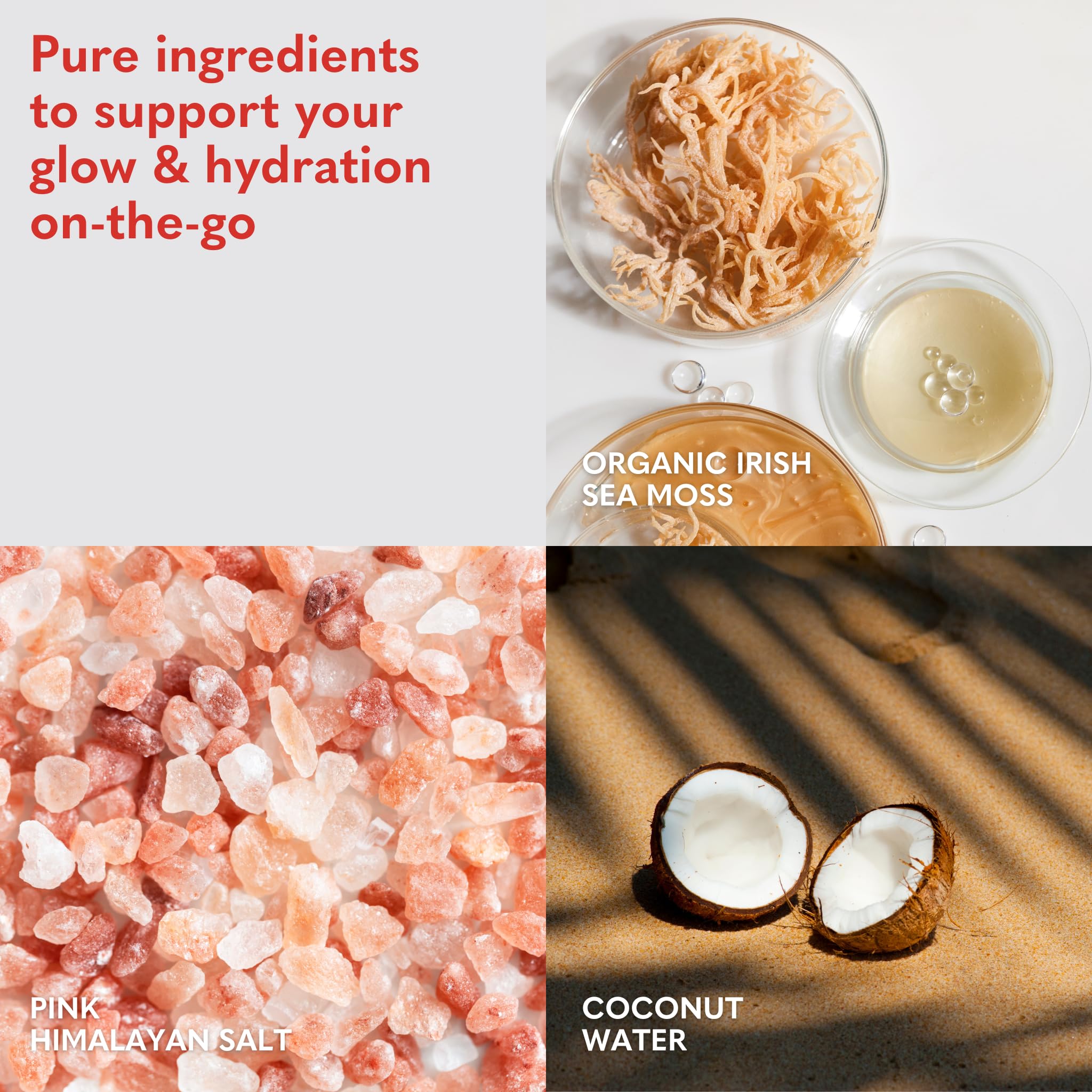 Plant-based nutrients and vegetable juice in sea moss powder