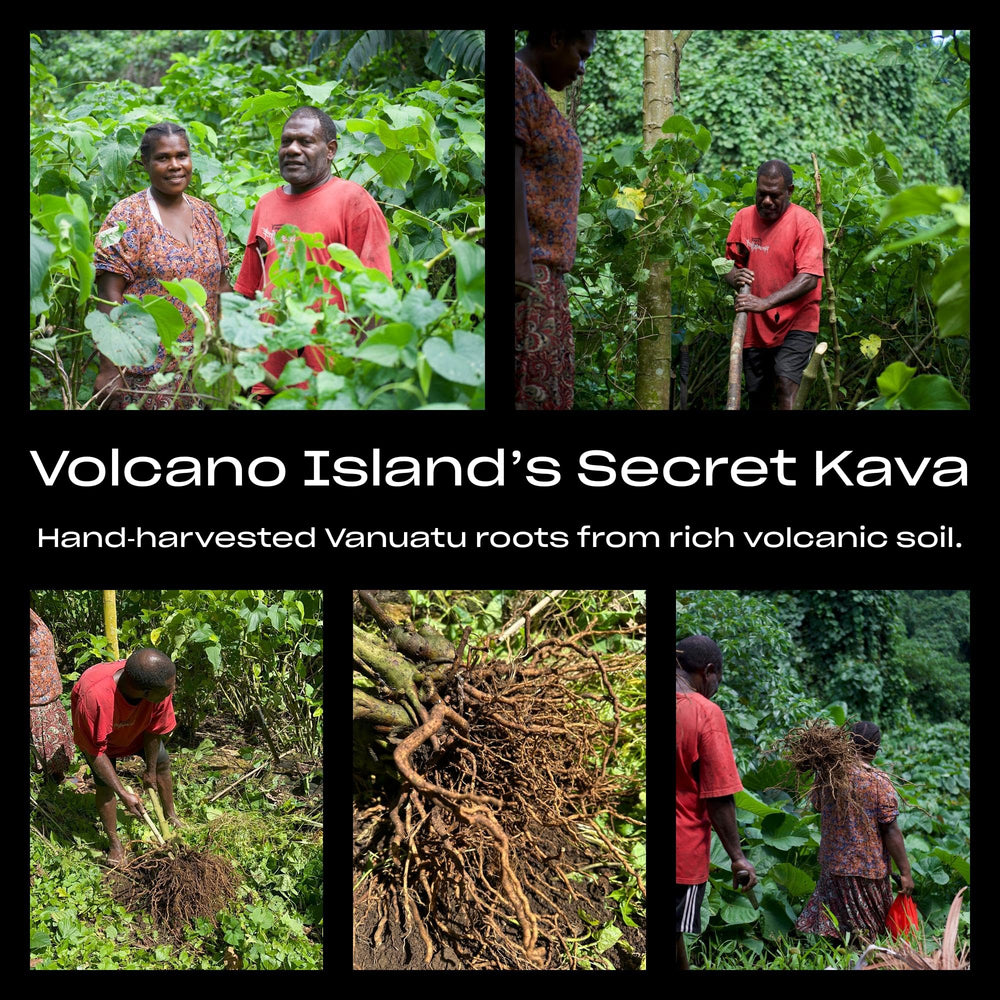 Preparing Coral Sea Kava powder in a cup highlights aroma and ritual setup.