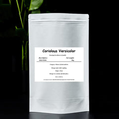 Coriolus Versicolor tea infusion scene highlighting hot brew aroma