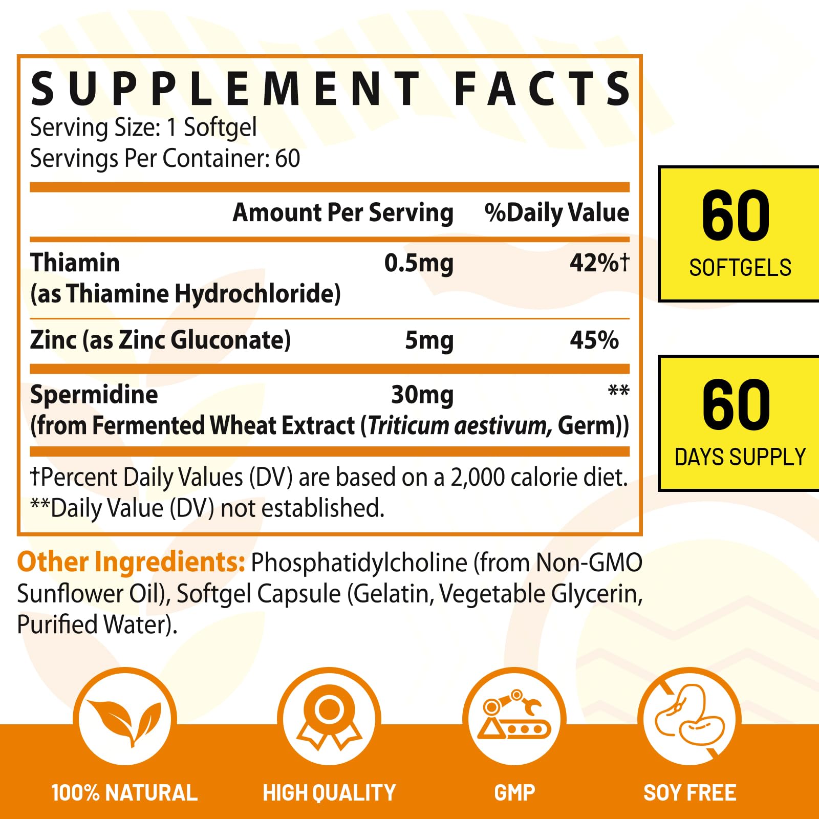 Liposome delivery graphic for CORPORALIGHT spermidine improving absorption.