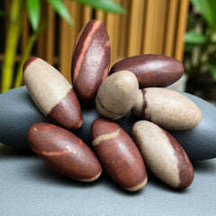Craftslook Narmada Lingam eggs polished stones suitable for crystal decor