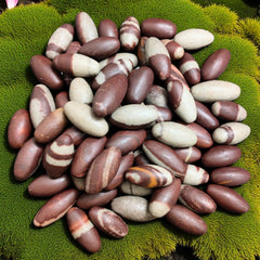 Craftslook Narmada Lingam pocket stones enhance puja ambience and sacred home decor