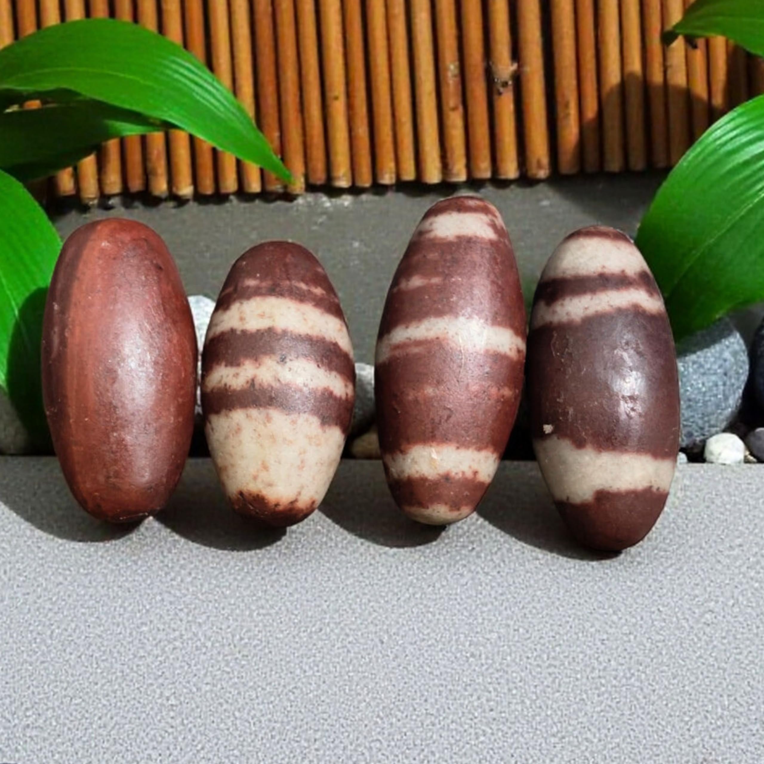 Craftslook Narmada Lingam polished stones decorate altars and shelves with serenity