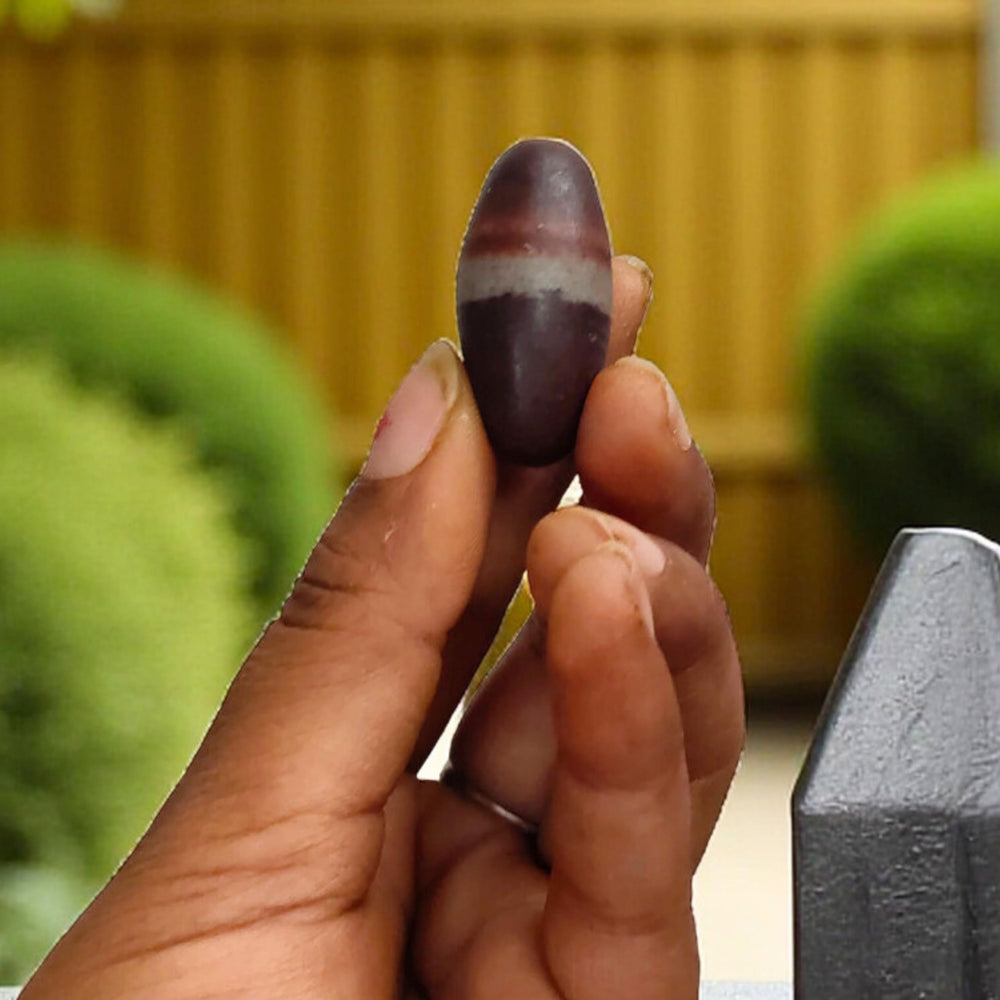 Craftslook Narmada Lingam portable sacred stones for on-the-go devotion