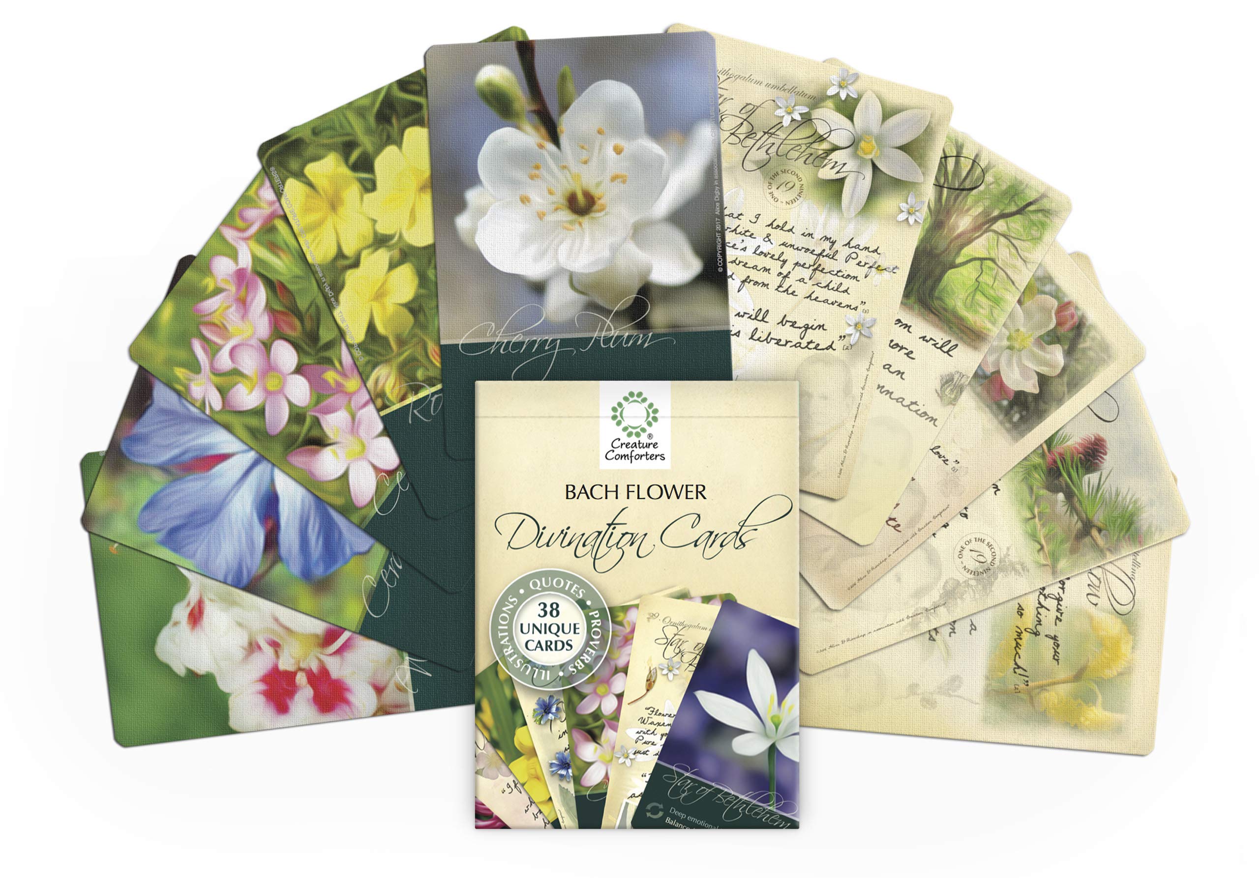 Creature Comforters Bach Flower card illustration prompts calm reflection during a quiet moment