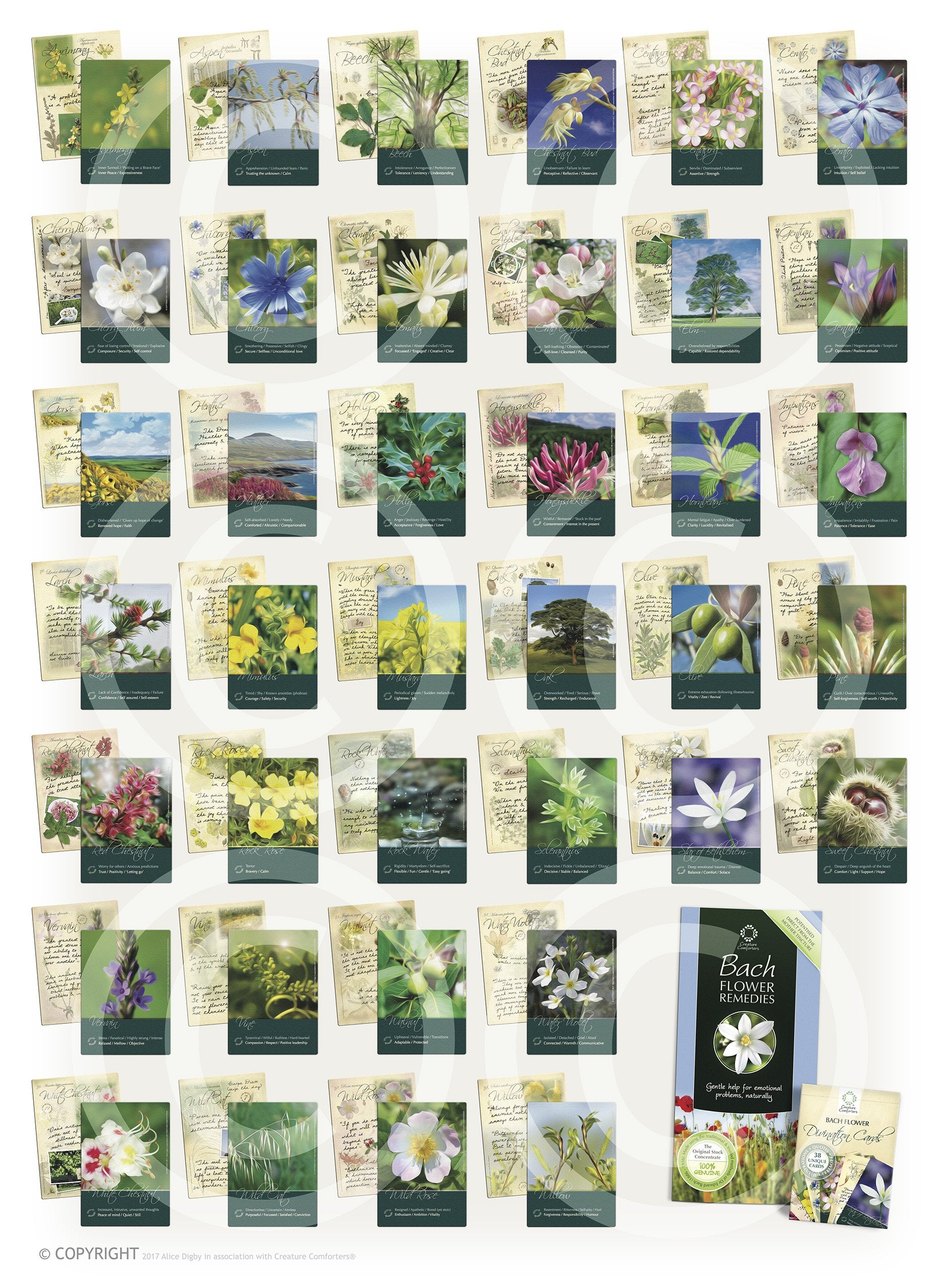 Creature Comforters Bach Flower card illustration for mindful prompts and journaling