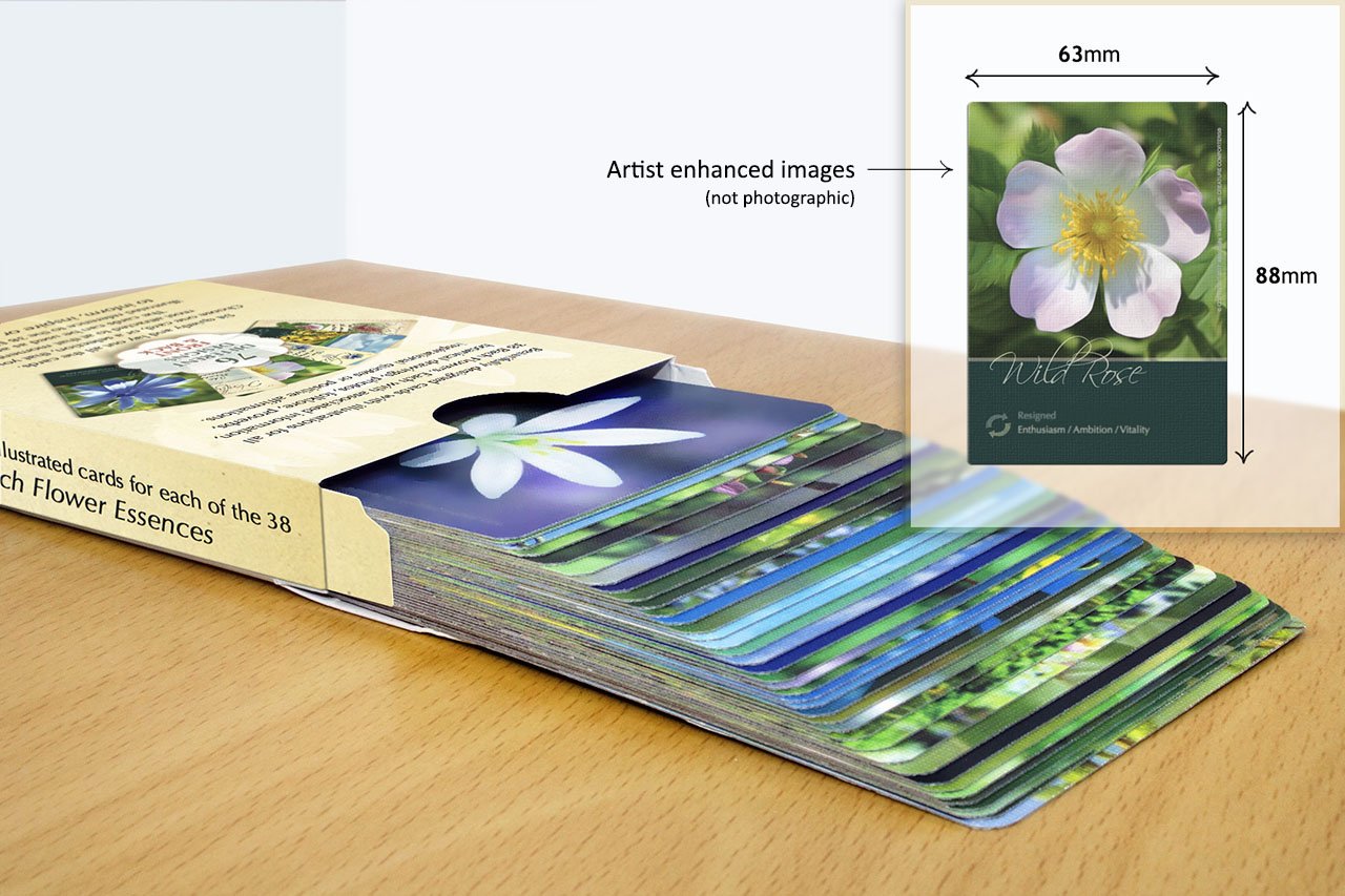 Creature Comforters Bach Flower card illustration provides a tactile, durable deck for gifting