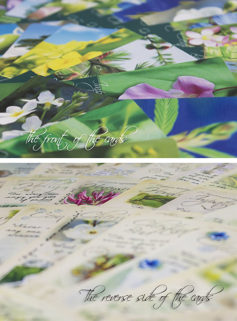 Creature Comforters Bach Flower card illustration highlights front and back designs for variety