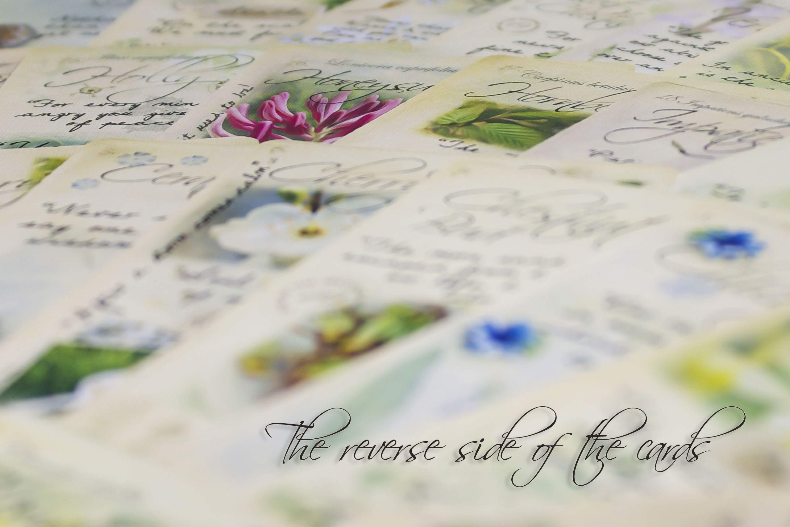 Creature Comforters Bach Flower card illustration pairs imagery with reflective prompts