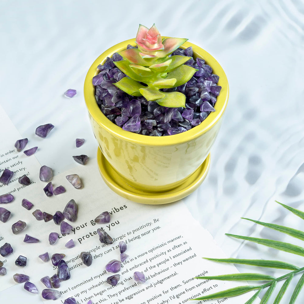 Crocon amethyst chips in decor display for home accents.