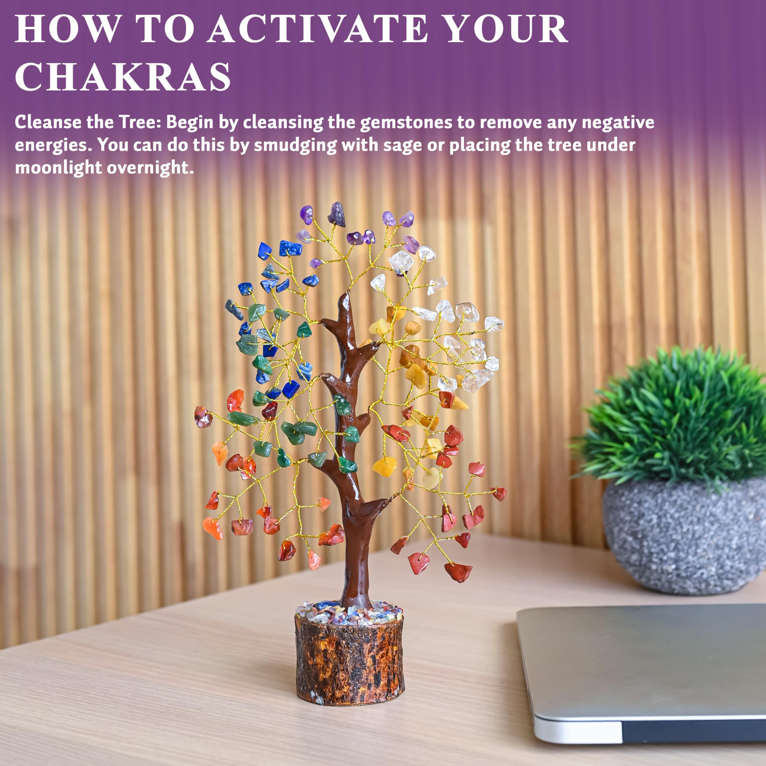 Crocon bonsai tree life-energy accent for shelves and tabletops.