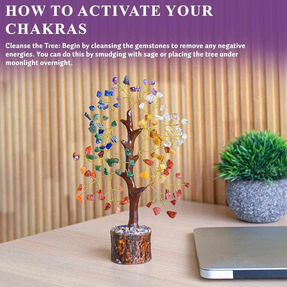 Crocon bonsai tree life-energy accent for shelves and tabletops.