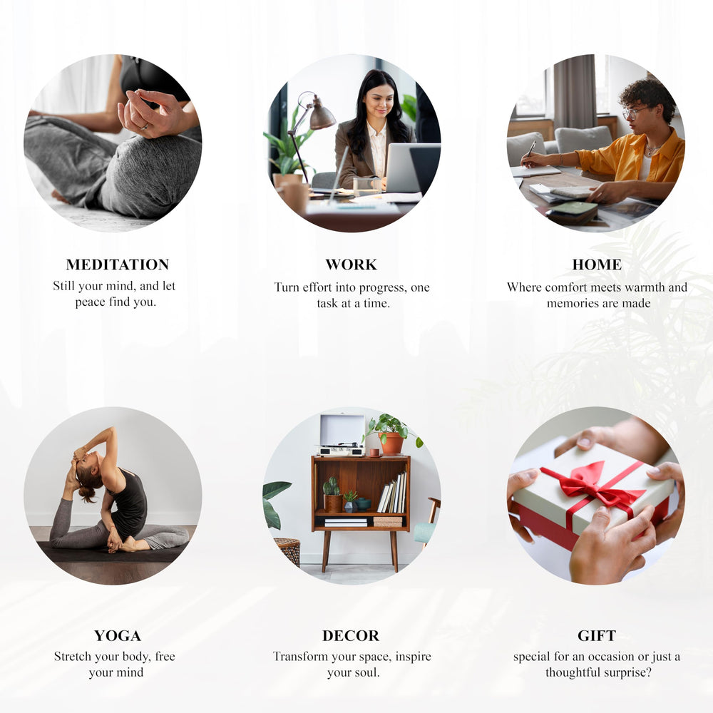 Crocon money tree decor enhances space with a prosperity-inspired vibe