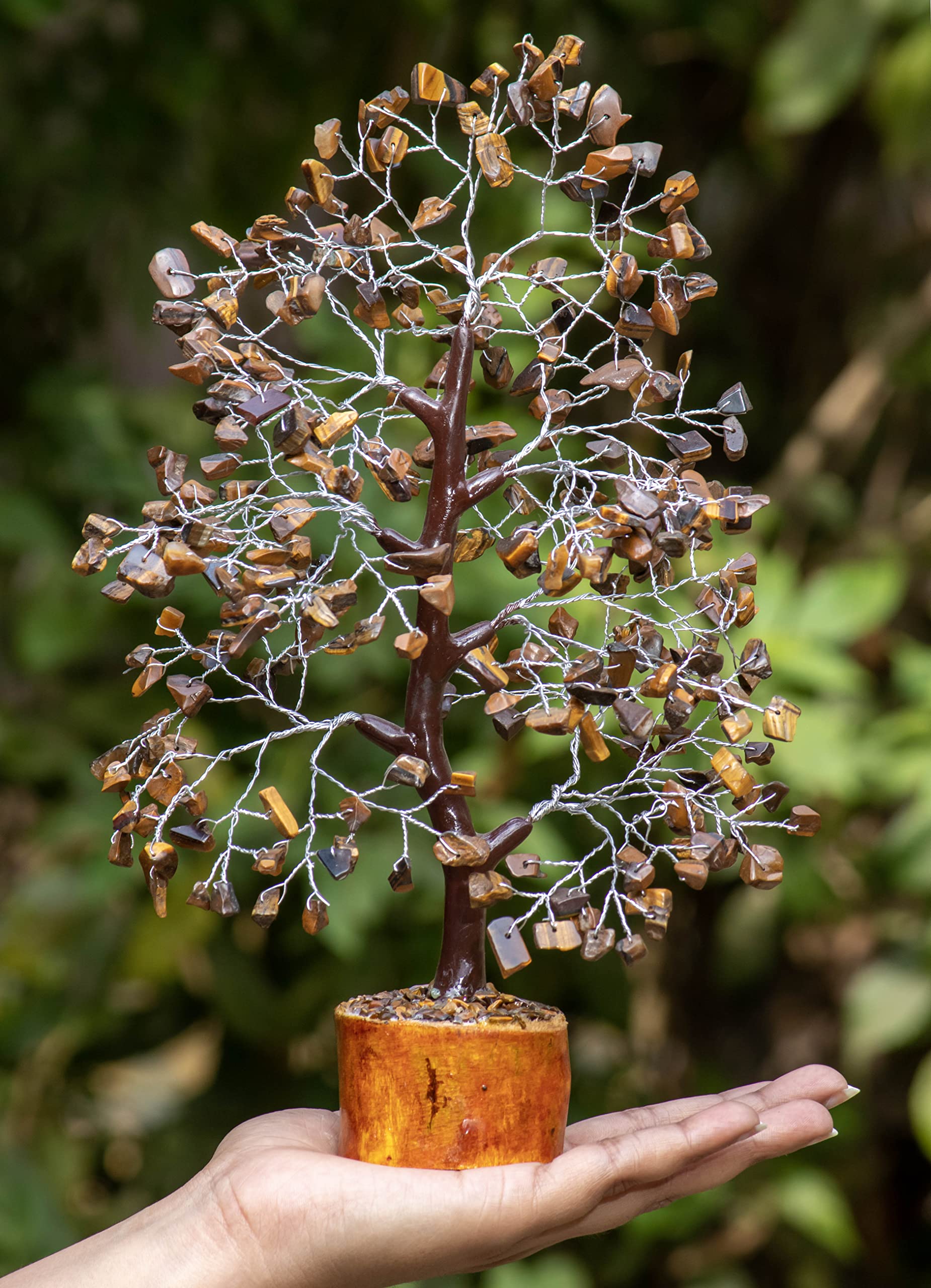 Crocon feng shui tree purifies energy and invites positive flow