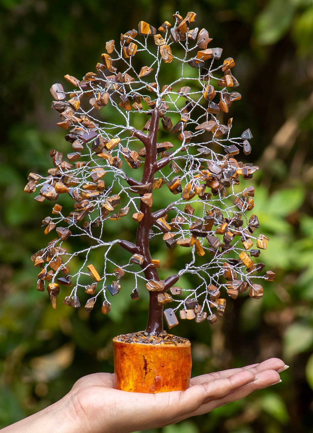 Crocon feng shui tree purifies energy and invites positive flow