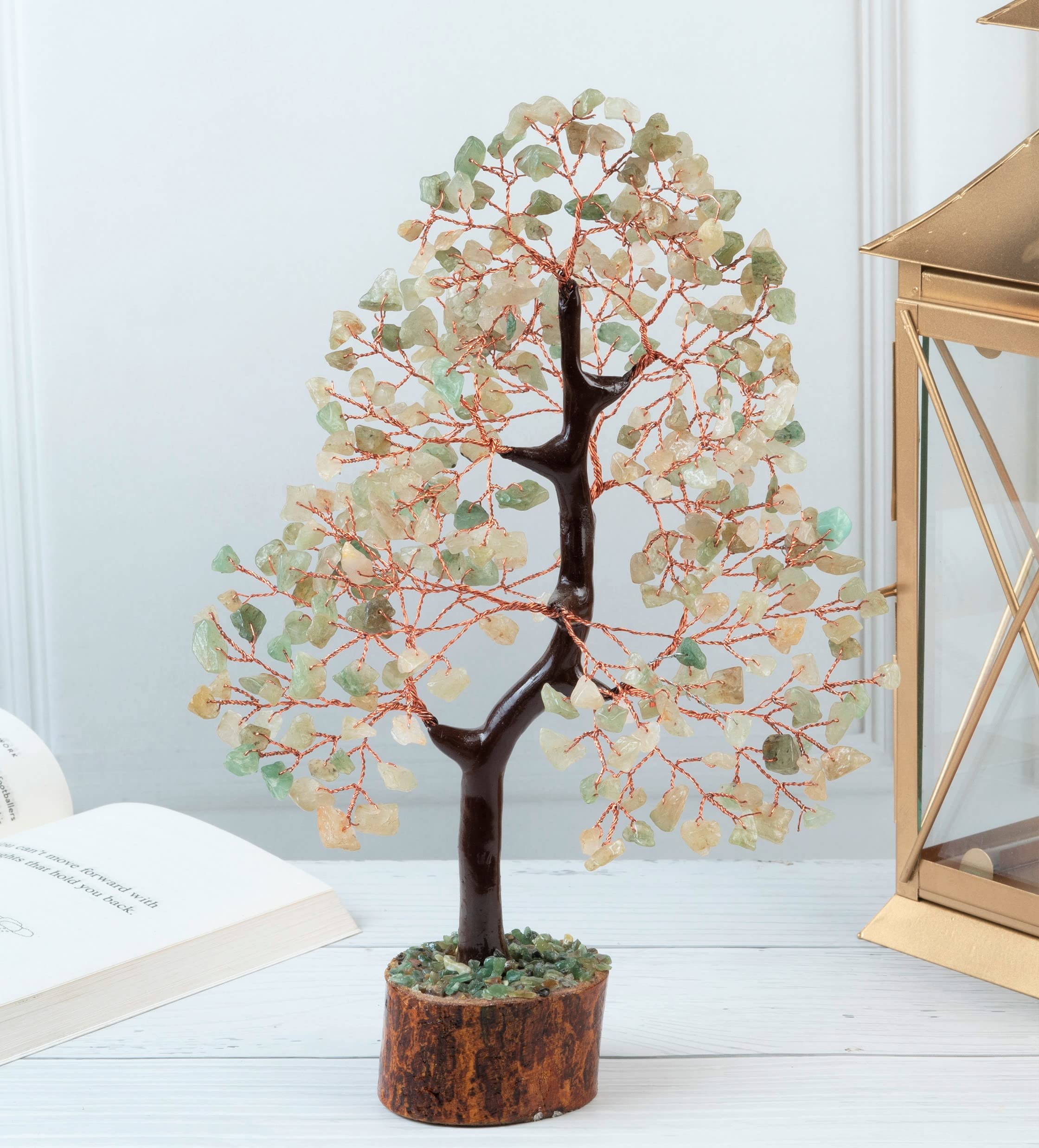 Crocon Green Jade Tree adds serenity to bedroom decor.