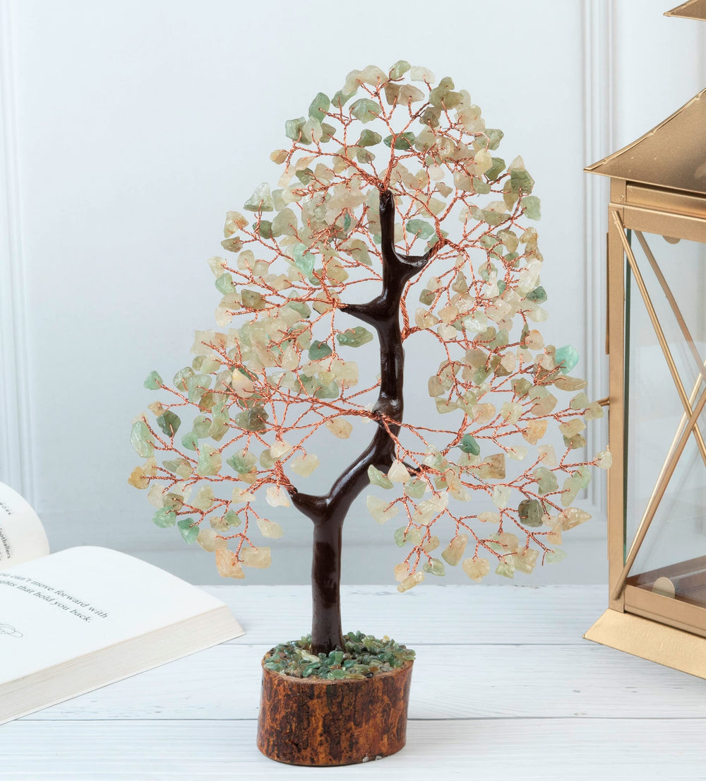 Crocon Green Jade Tree adds serenity to bedroom decor.