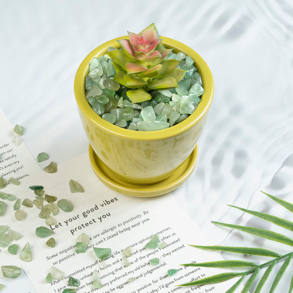 Crocon green jade chips decorate aquariums and terrariums with natural color highlights