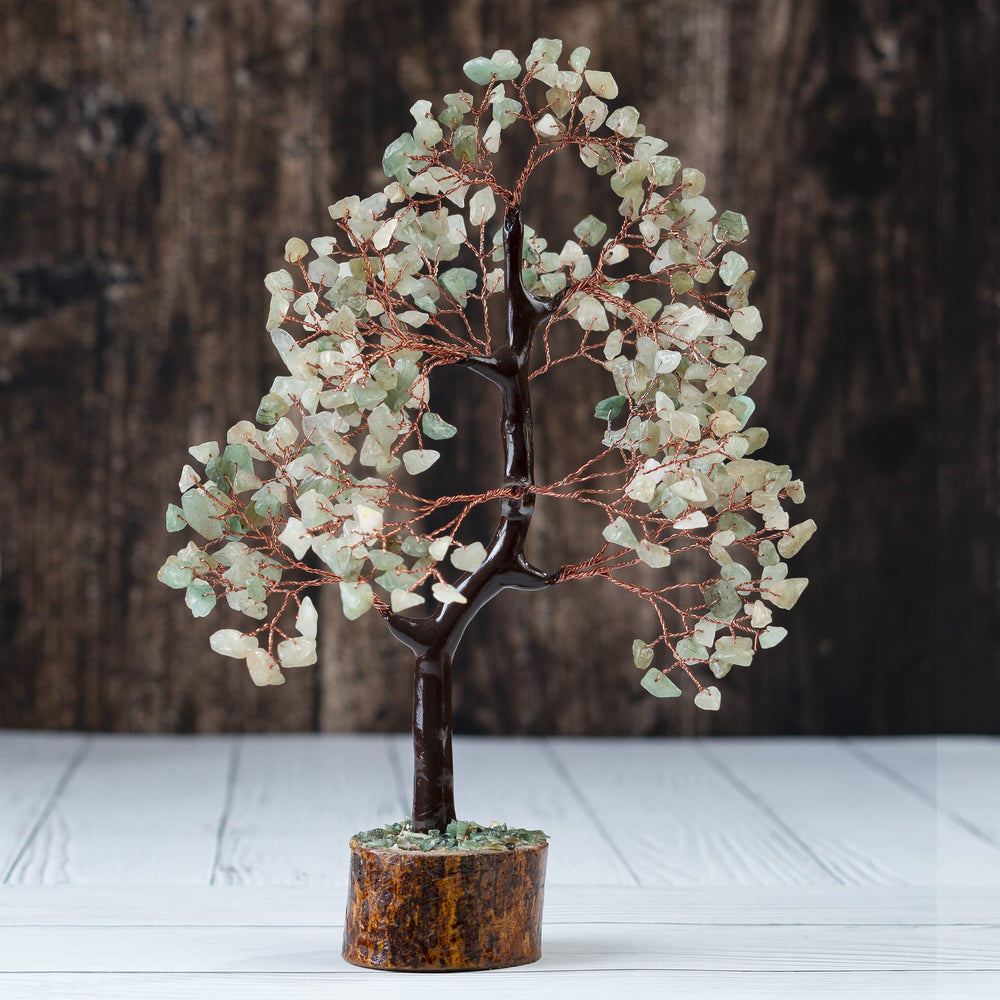 Crocon Green Jade Tree enhances feng shui-inspired decor and balance.