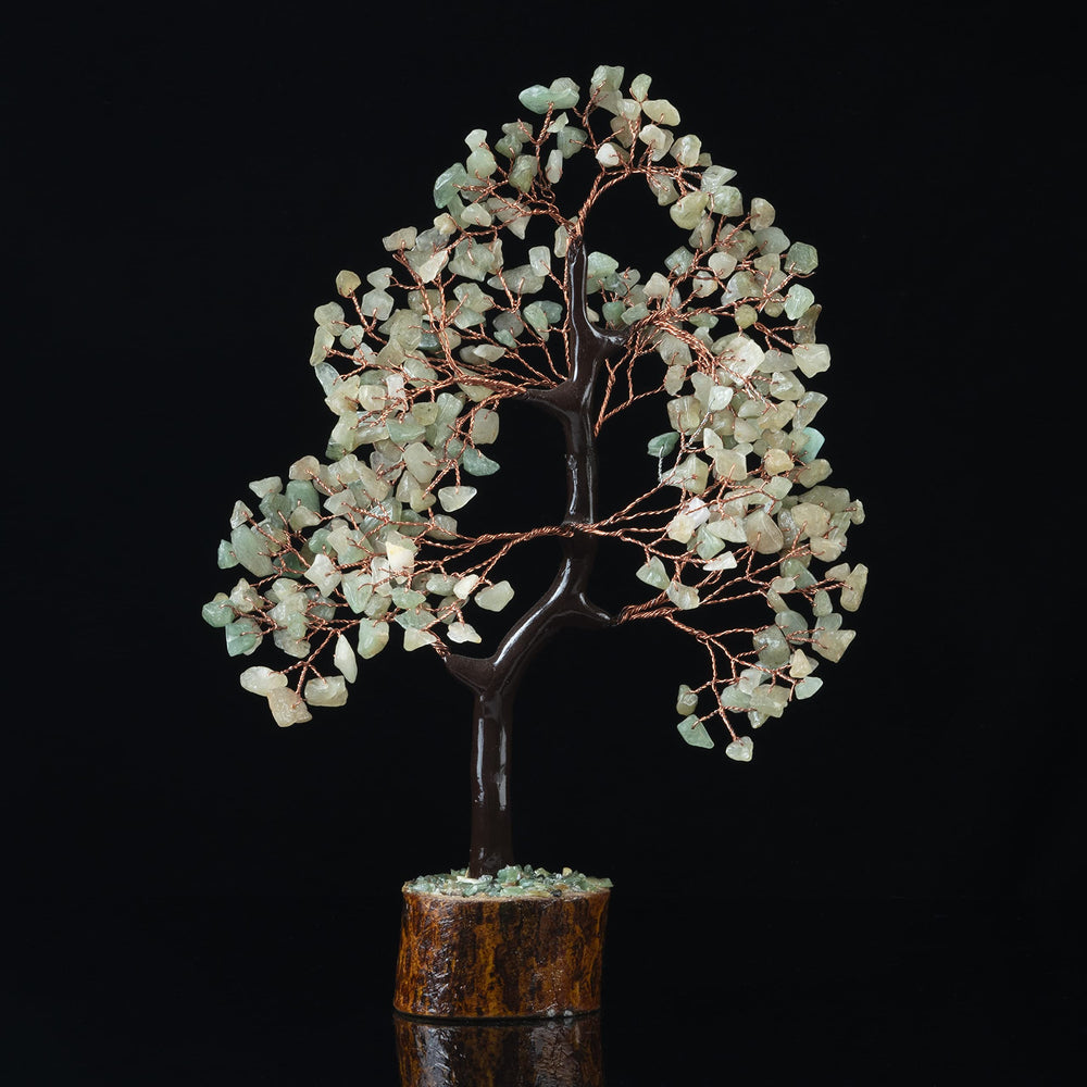 Crocon Green Jade Tree makes a memorable housewarming gift for new homes.