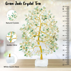 Crocon Green Jade Tree branch closeup emphasizes crystal texture and color.