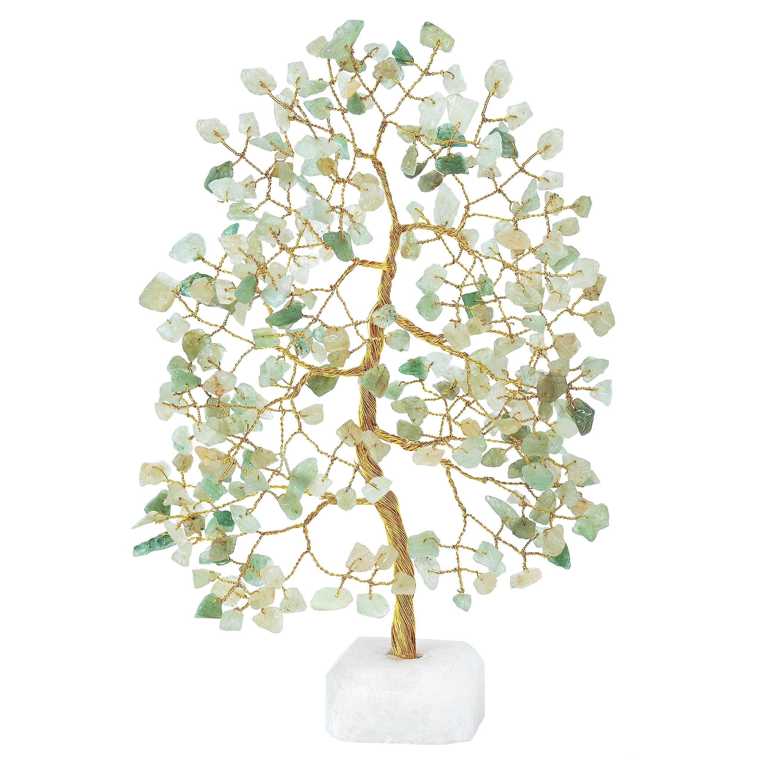 Crocon Green Jade Tree care info highlights simple maintenance and long-lasting beauty.