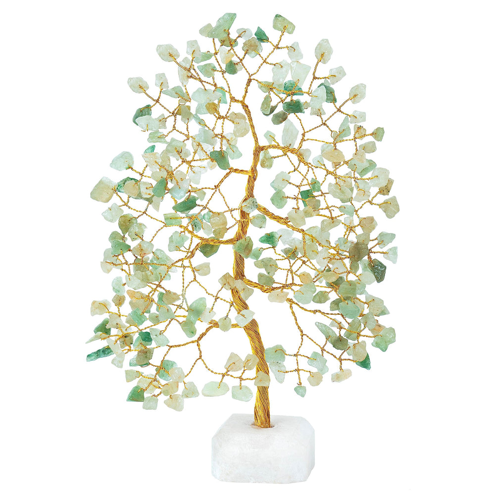 Crocon Green Jade Tree care info highlights simple maintenance and long-lasting beauty.