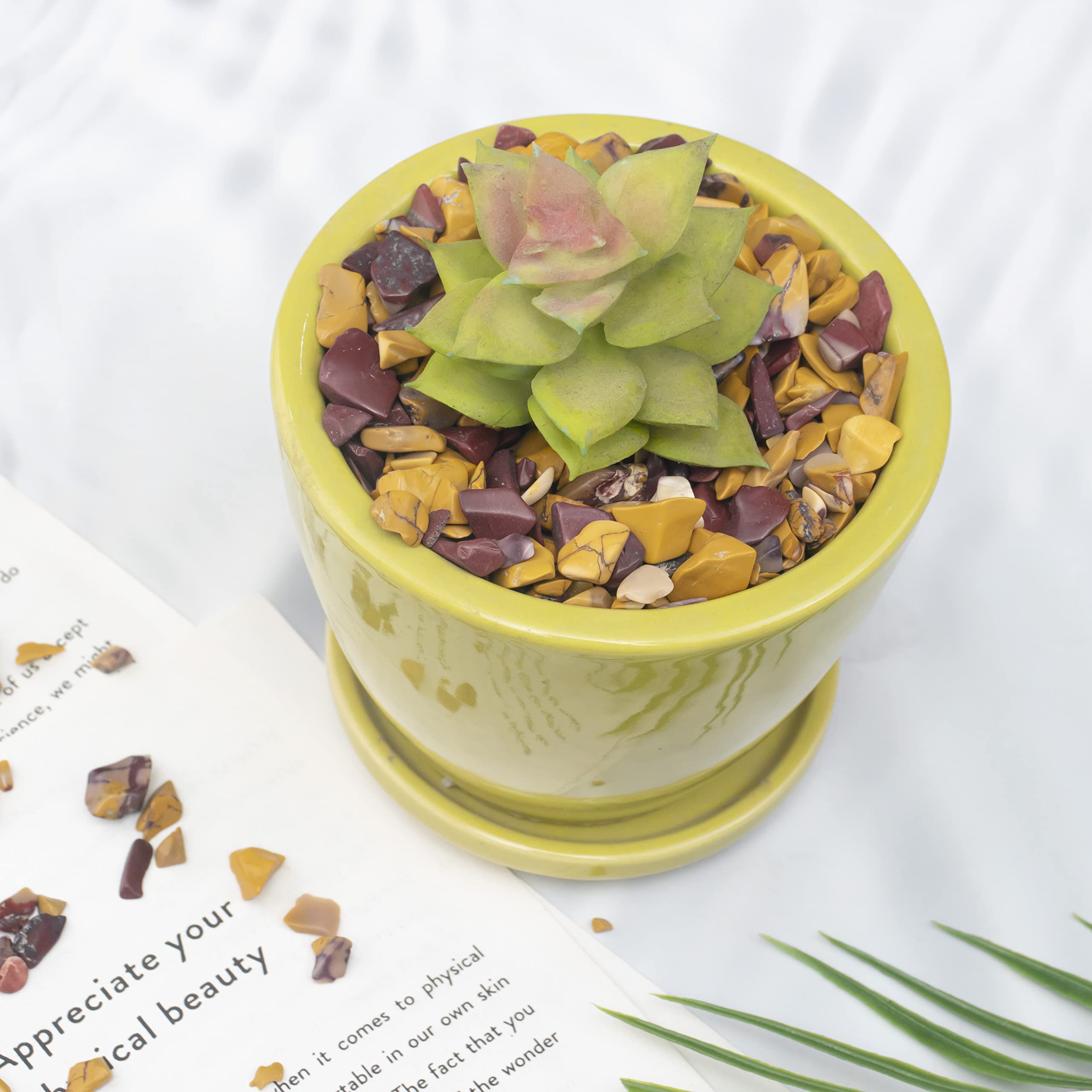 Crocon Mookaite Jesper aquarium decor adds natural color and calm ambiance.