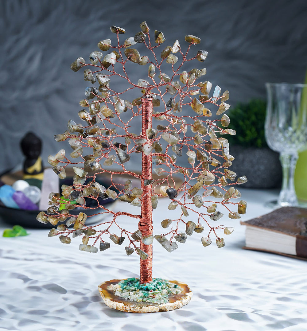 Crocon lucky prosperity tree invites calm, reflection, and harmonious surroundings.