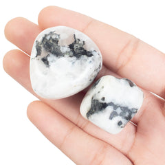 Crocon rainbow moonstone collection for mindful display and energy focus