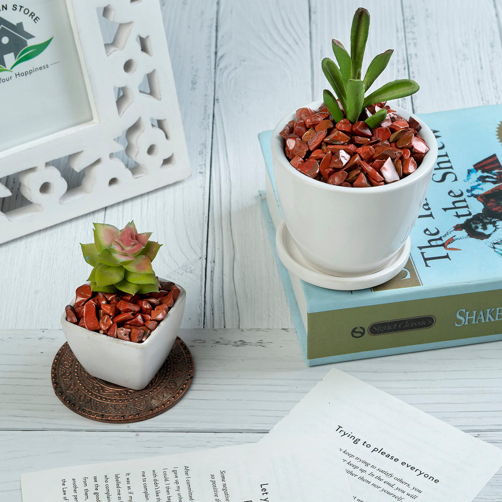 Crocon red jasper terrarium decor adds natural color to plant habitats.