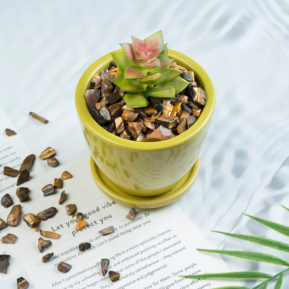 Crocon tiger eye chips ideal for gifting at house warmings