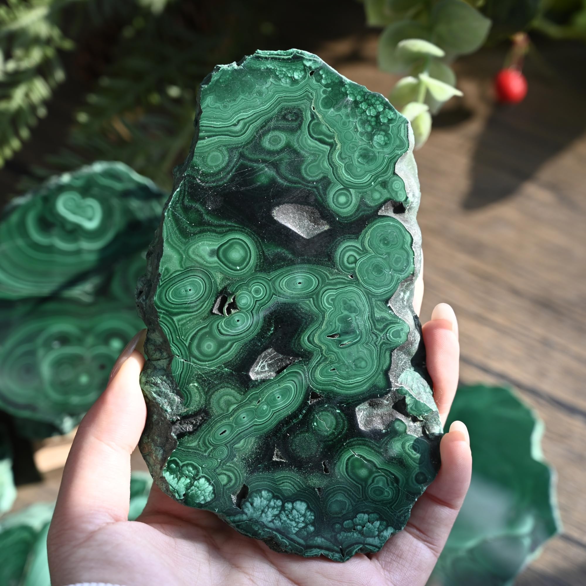 CrystalHola malachite slice energy array or meditation display
