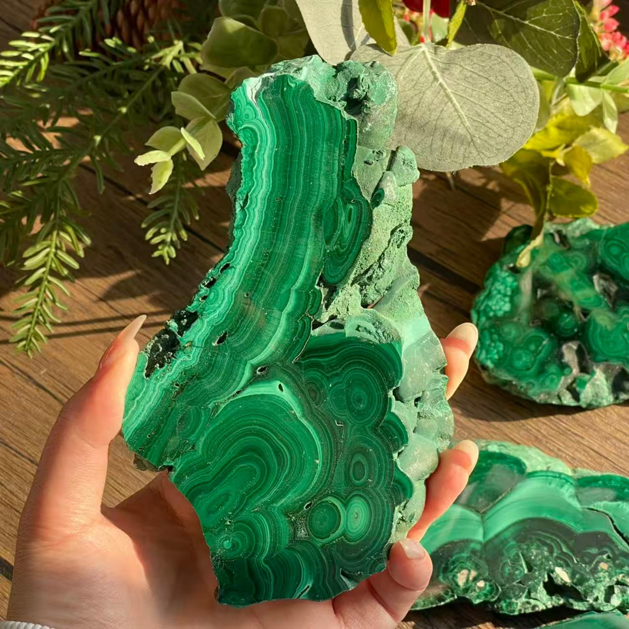 CrystalHola malachite slice robust for gift-ready display
