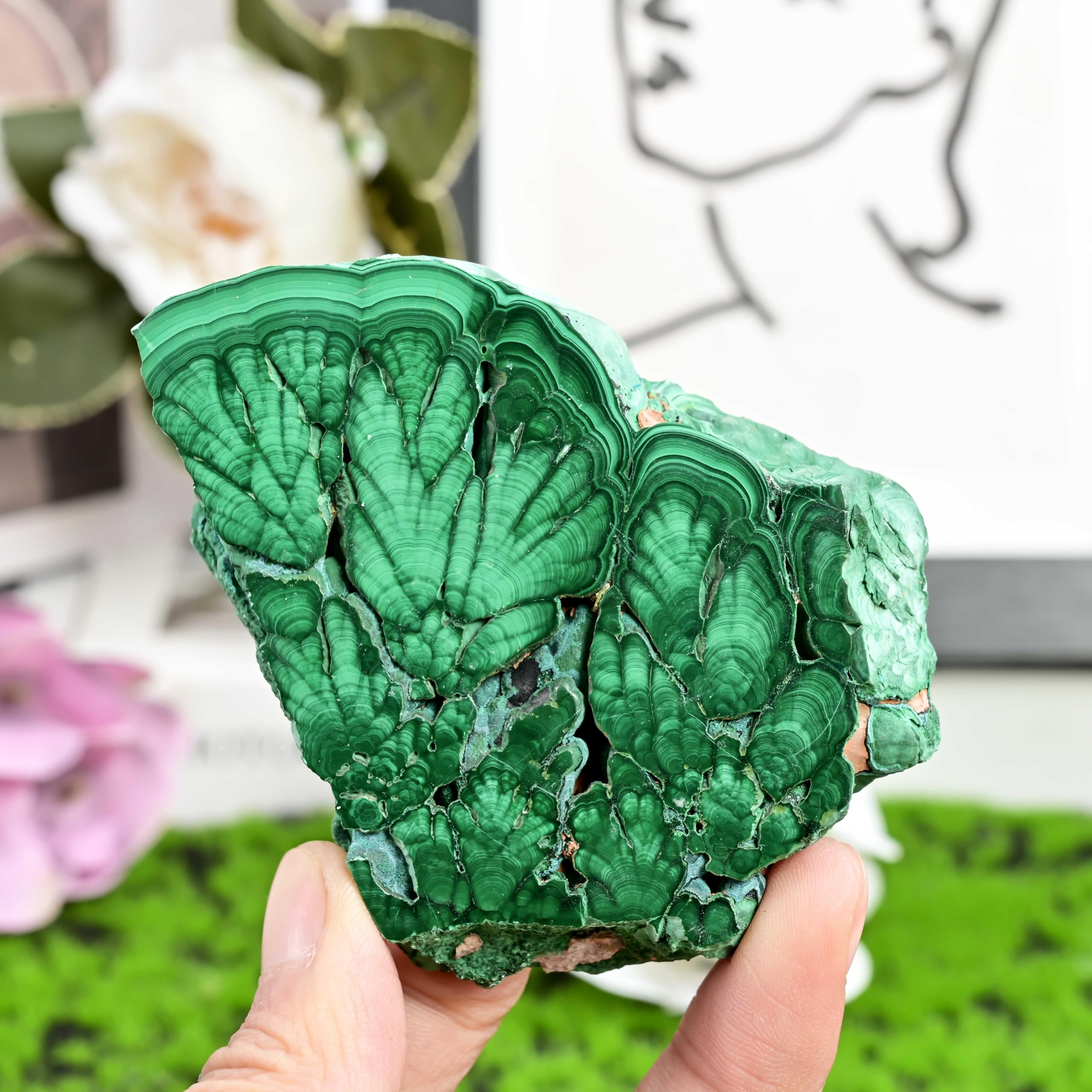 CrystalHola malachite slice for jewelry inlay and decorative accents