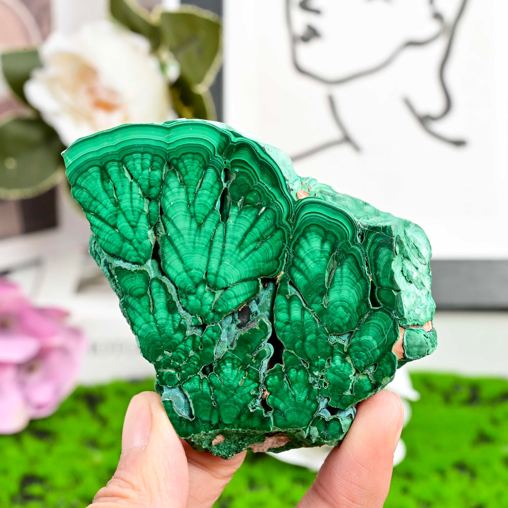 CrystalHola malachite slice for jewelry inlay and decorative accents