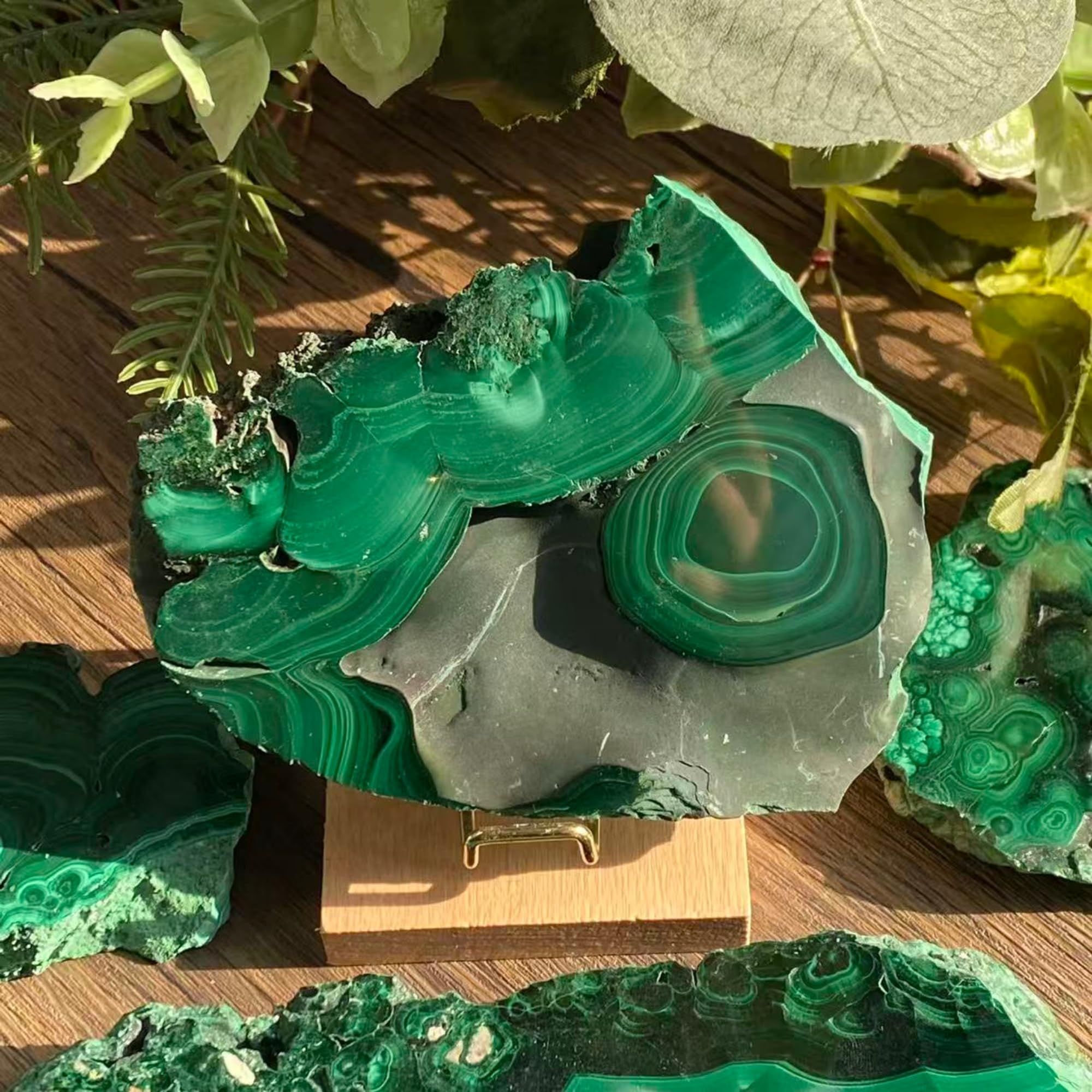 CrystalHola malachite slice shows vivid green banding for teaching demos