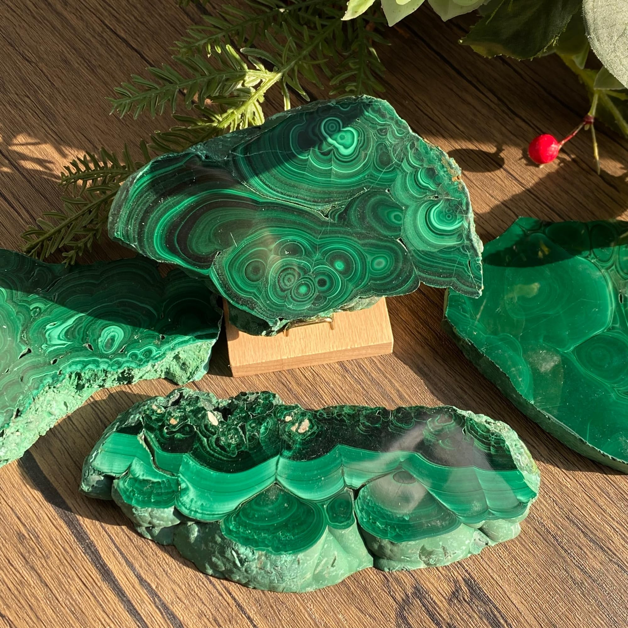 CrystalHola malachite slice easy to handle and learn with