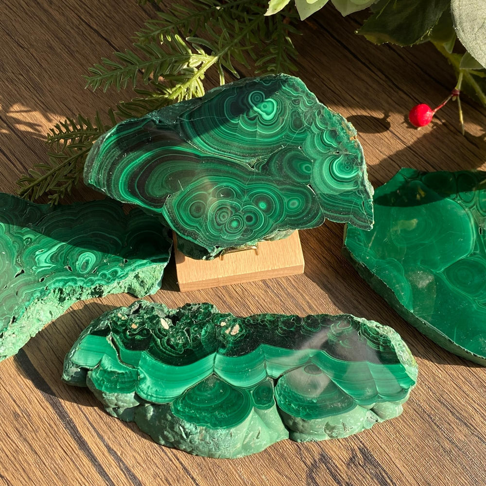 CrystalHola malachite slice easy to handle and learn with